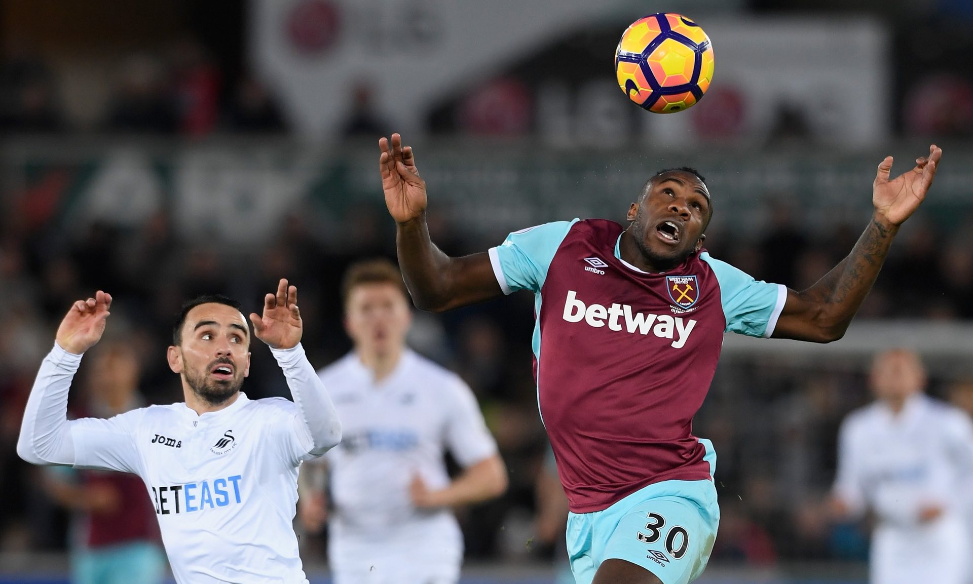 加入不仅增 加入不仅增